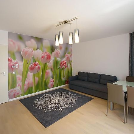 Apartamente Olivero 布拉索夫 外观 照片