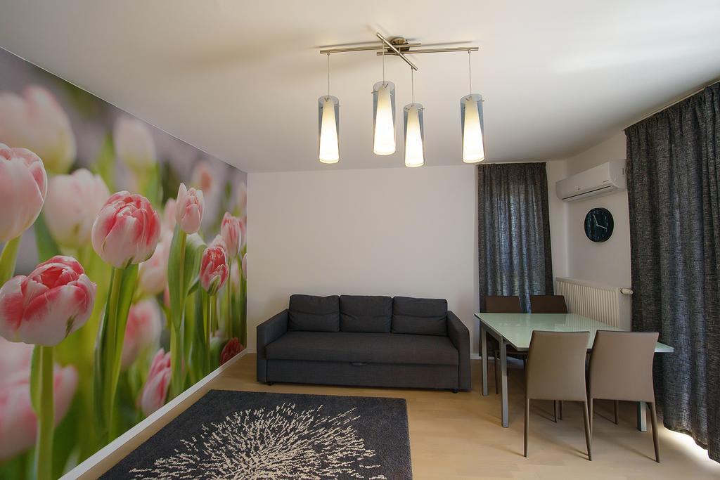 Apartamente Olivero 布拉索夫 外观 照片