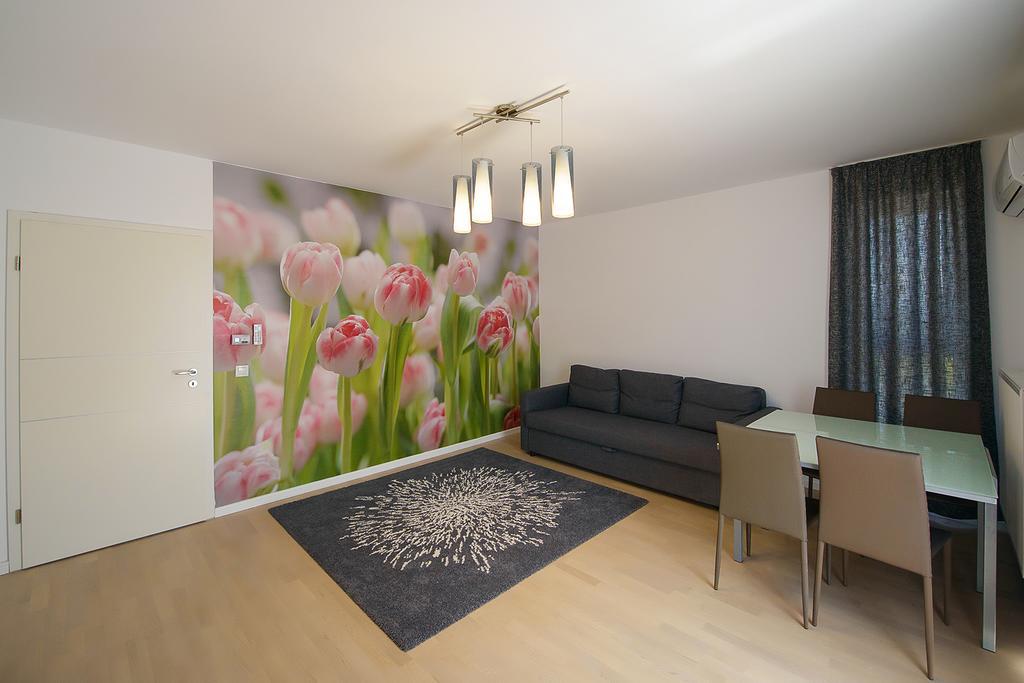 Apartamente Olivero 布拉索夫 外观 照片